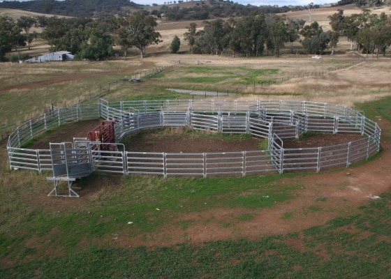 6 Square Rails 1.8m X 2.09m Heavy Duty Cattle Panel With Locking Pins