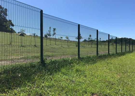 2000mm Anti Climb Fencing Powder Coated Prison Clear View High Security Anti Cut