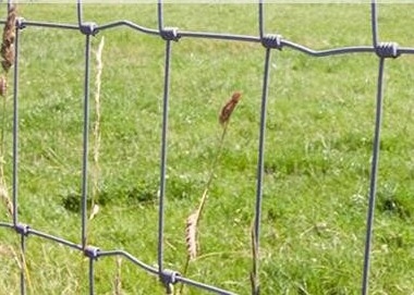 100g/M2 Zinc Coated Hinge Joint Fence , 1m High Galvanized Cattle Fence