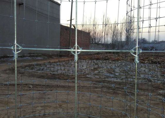 2.5mm Wire Livestock 1.2m Hinge Joint Farm Boundary Fencing Hot Dip Galvanized