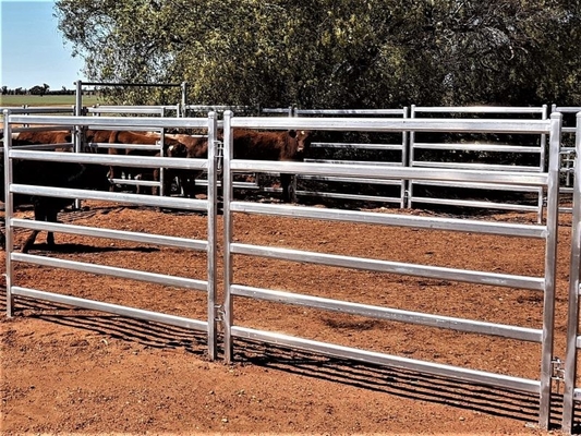 Welded Metal 40x40mm Tube Heavy Duty Cattle Panel 2.1m Width