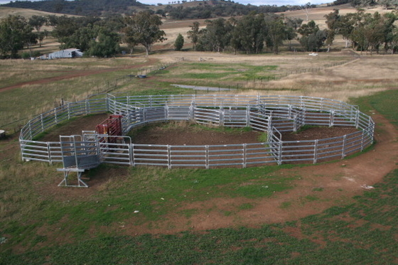 Wrought Iron Galvanized 50x50mm Tube Heavy Duty Cattle Panel