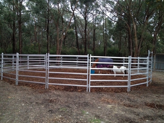 Galvanized Steel Farm 1.8x3.37m Livestock Fencing Panels And Gates