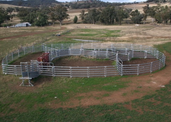 Galvanized Pipe Fence 1.8x2.1m Welded Wire Horse Panels