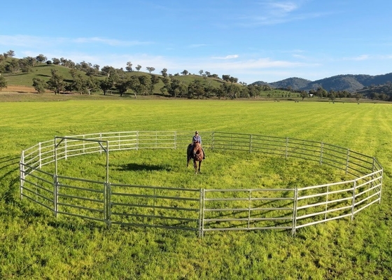 1.8x2.1m Oval Tube Iron Material Cattle Panel Hot Dipped Galvanized