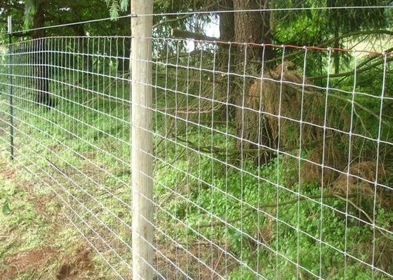 Electric Galvanized Iron Wire Cattle Mesh Fencing For Livestock